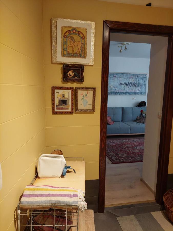 Campitelli View Daire Rovinj Dış mekan fotoğraf
